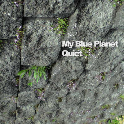 Quiet Front Cover