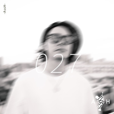 027のジャケット写真