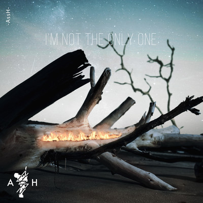 I'm Not The Only One Front Cover