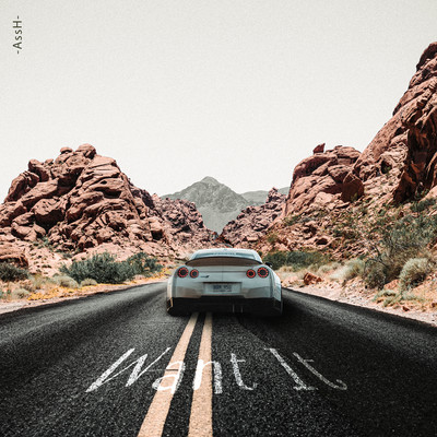 Want It Front Cover