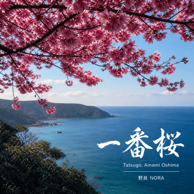 Ichiban Zakura Front Cover