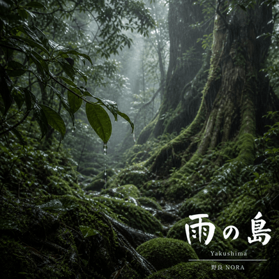 Ame no Shima Front Cover