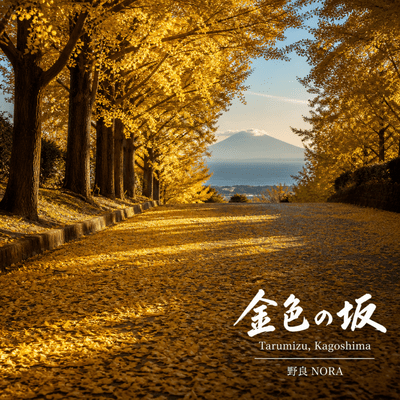 Kin-iro no Saka Front Cover