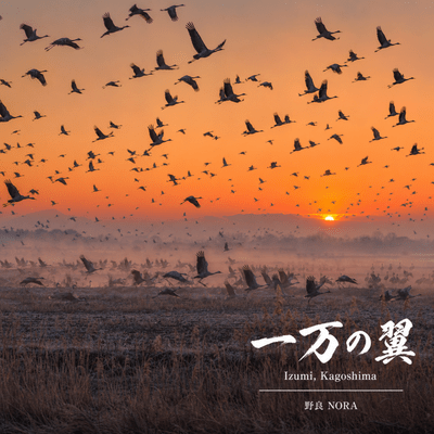 Ichiman no Tsubasa Front Cover