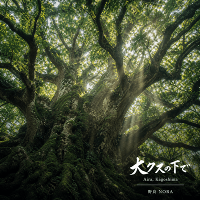 Okusu no Shita de Front Cover