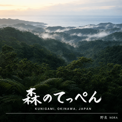 Mori no Teppen Front Cover