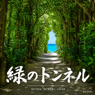 Midori no Tunnel Front Cover