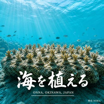 Umi wo Ueru Front Cover