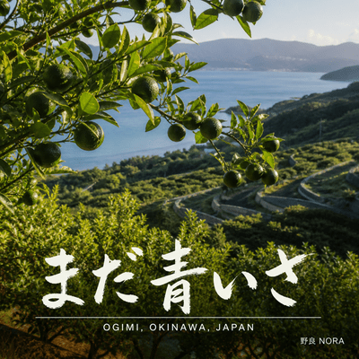 Mada Aoi sa Front Cover