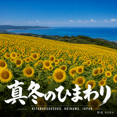 真冬のひまわり 〜北中城村〜のジャケット写真