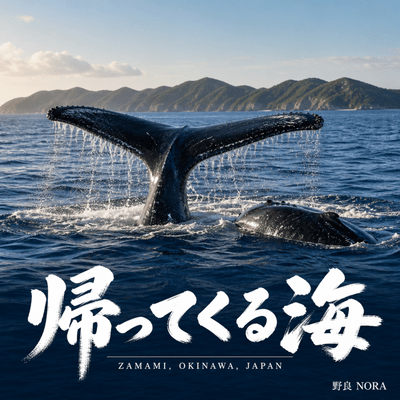 帰ってくる海 〜座間味村〜のジャケット写真