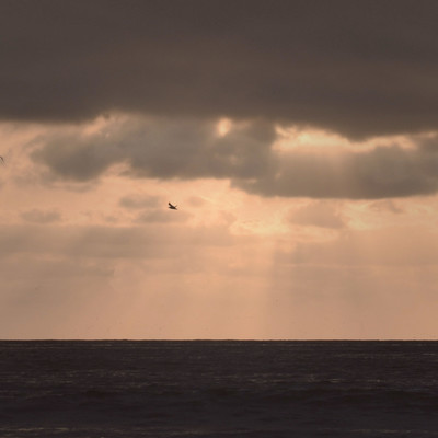 Asterのジャケット写真