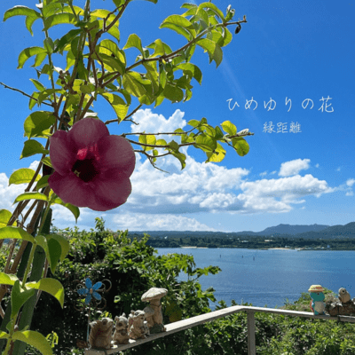 Himeyuri no Hana Front Cover