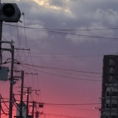 sukidaのジャケット写真