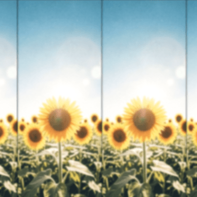 Summer Palette Front Cover