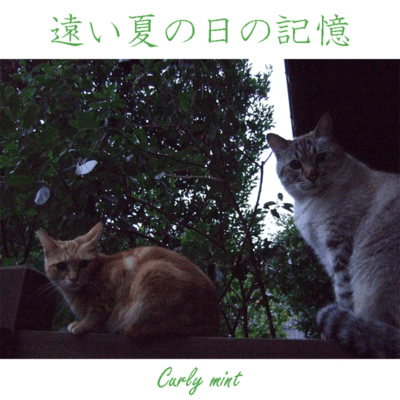 遠い夏の日の記憶のジャケット写真