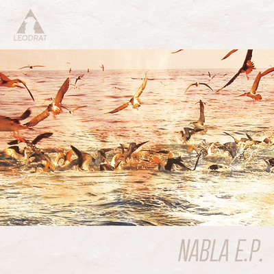 NABLAのジャケット写真