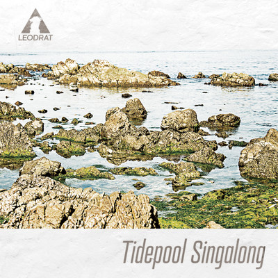 Tidepool Singalong Front Cover