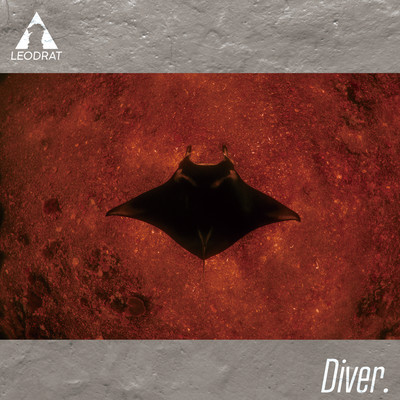 Diver. Front Cover