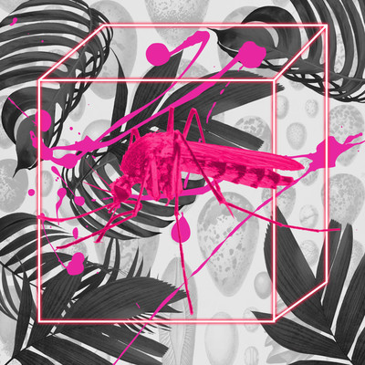 Mosquito Front Cover