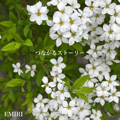 Tsunagaru-Story Front Cover
