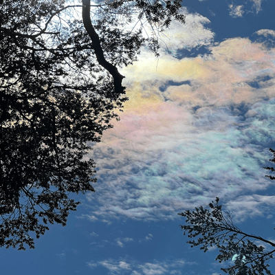 High time , My eyes Front Cover