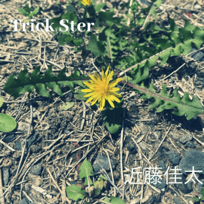 Trick Ster Front Cover