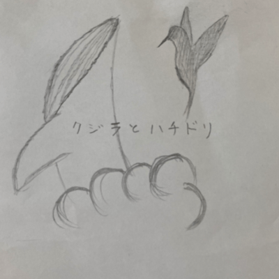 クジラとハチドリのジャケット写真