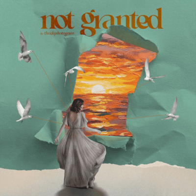 Not Granted Front Cover