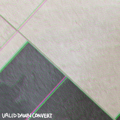 maze (disappear) Front Cover