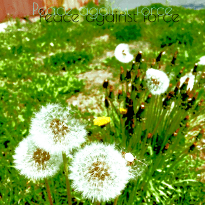 Peace against force Front Cover