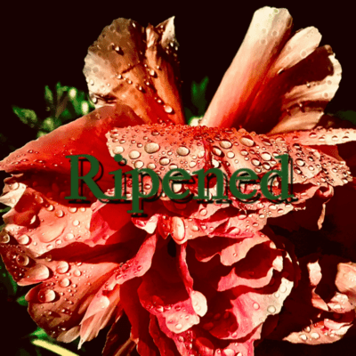RIpened Front Cover