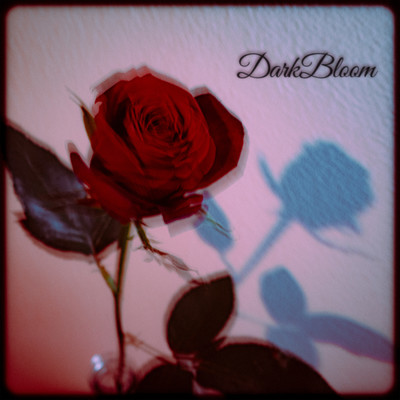 Dark Bloom Front Cover