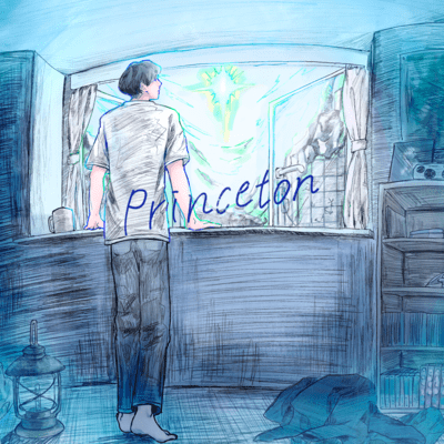 Princeton Front Cover