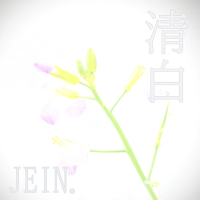Suzushiro Front Cover