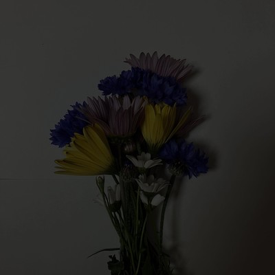 Lost flowers in horizon Front Cover