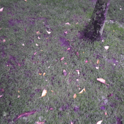 Yesterday and Tomorrow Front Cover