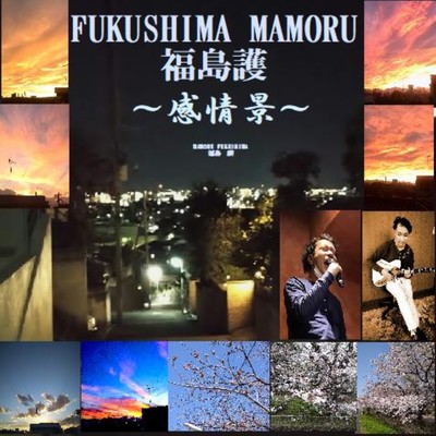 感情景のジャケット写真