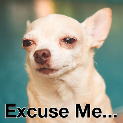 Excuse Me Front Cover