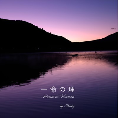 Life is beautiful Front Cover