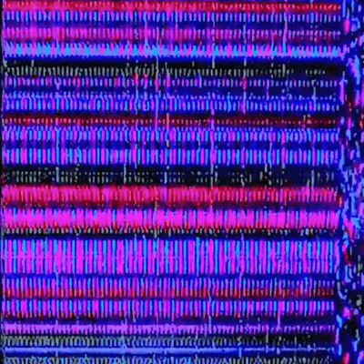 Shelter (feat. LeuR) Front Cover