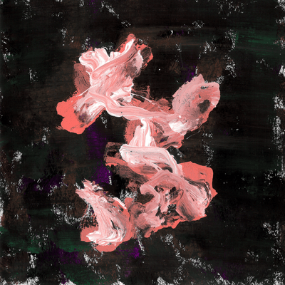 The night before the onset of the illness Front Cover