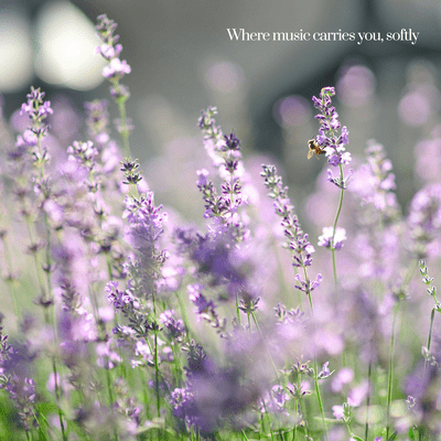 Little World in Lavender Front Cover