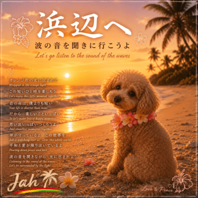 To the Beach Front Cover