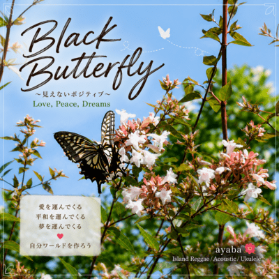 Black Butterfly Front Cover