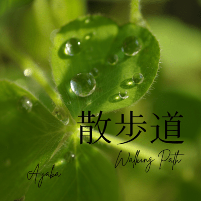 Walking Path Front Cover
