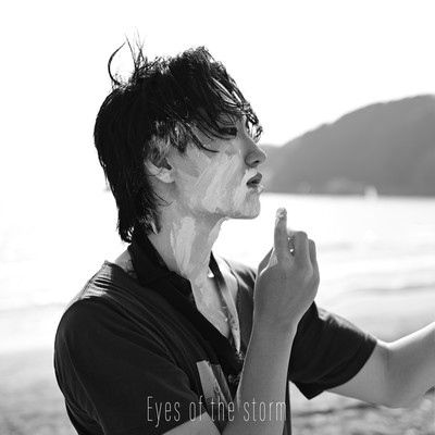 Eyes of the stormのジャケット写真