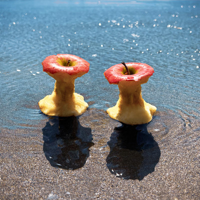 果実のジャケット写真