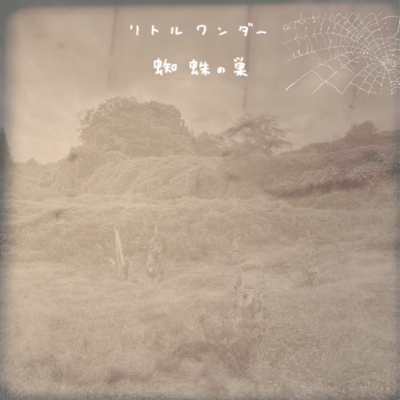 蜘蛛の巣のジャケット写真