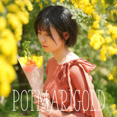 POTMARIGOLDのジャケット写真